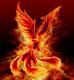 Avatar de Lord_Rinald0